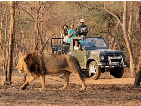 What makes a coastal wildlife tour worth planning around?